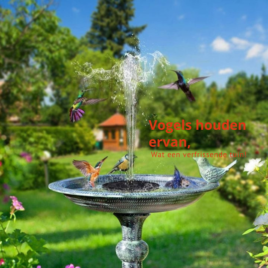SolarSplash | Maak van je tuin een vogelparadijs