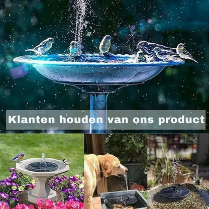 SolarSplash | Maak van je tuin een vogelparadijs