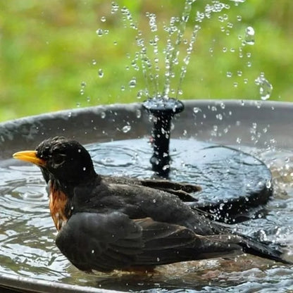 SolarSplash | Maak van je tuin een vogelparadijs