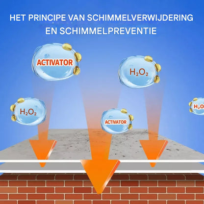 MouldStop™ | Vernietig schimmel bij de wortel en voorkom dat het ooit terugkomt | 2+1 gratis