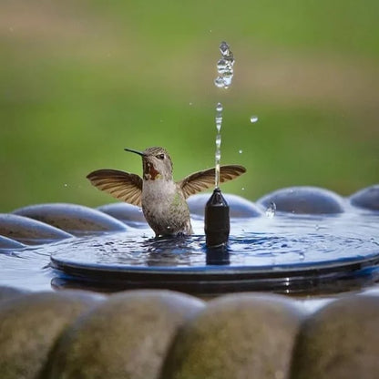 SolarSplash | Maak van je tuin een vogelparadijs