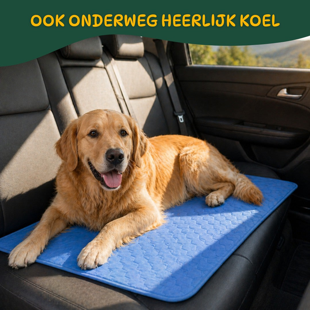 IcyNap Mat | Zelfkoelende hondenmat voor ultiem comfort op warme dagen