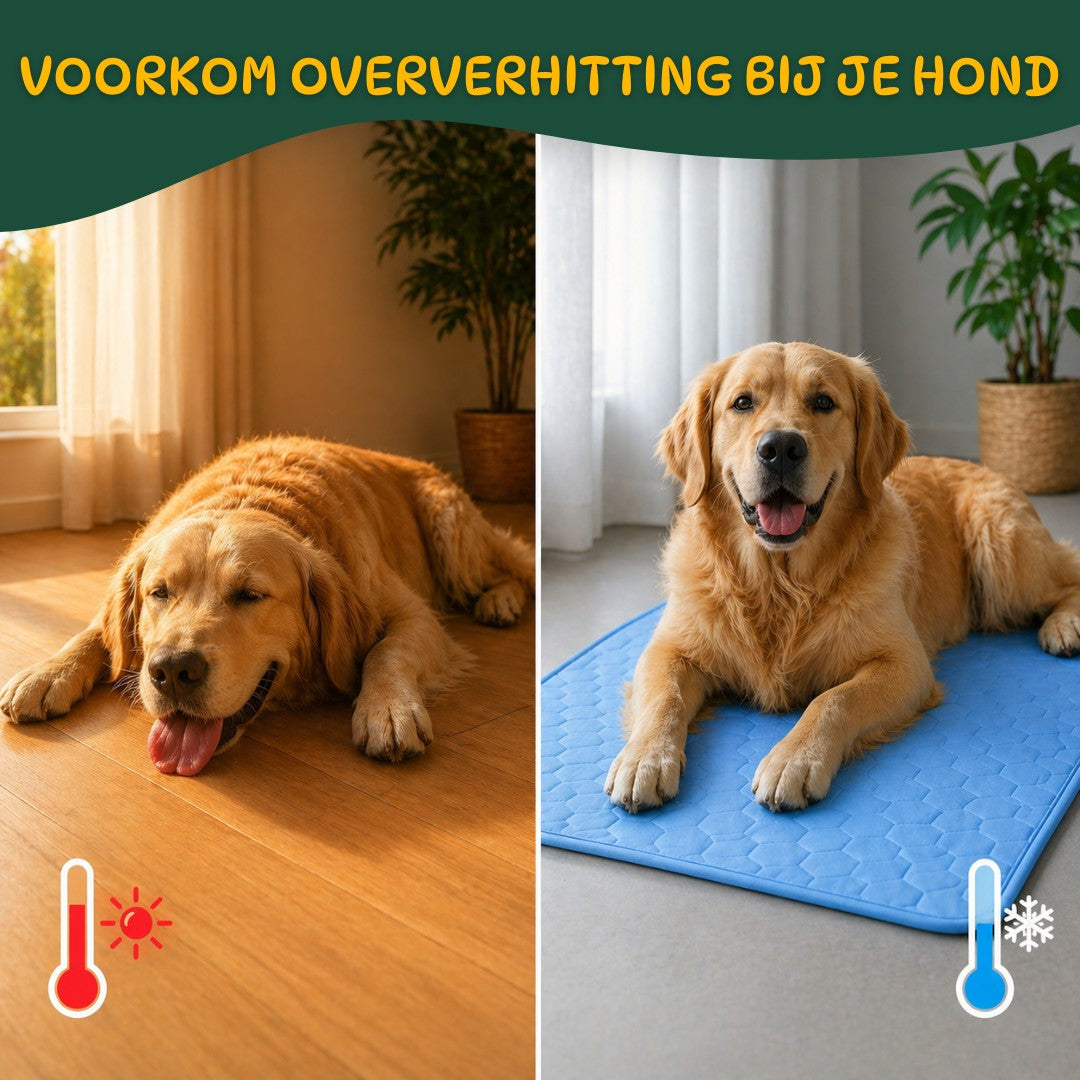 IcyNap Mat | Zelfkoelende hondenmat voor ultiem comfort op warme dagen