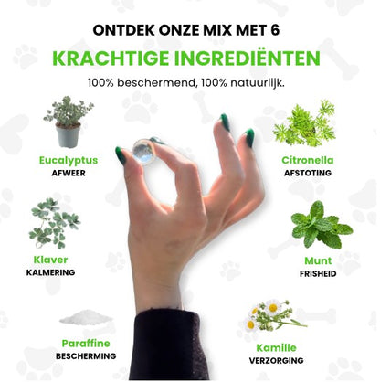 TickShield™ - 12 maanden beschermd tegen teken en vlooien | 1+1 gratis