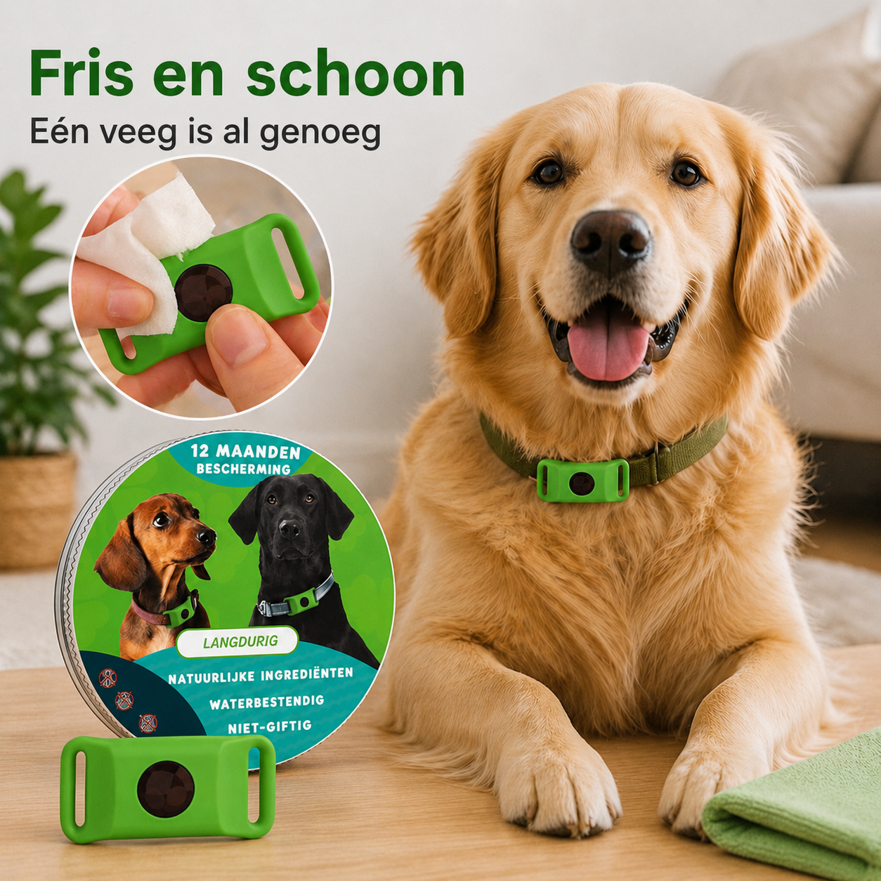 TickOff™ | 12 maanden natuurlijke bescherming tegen vlooien en teken | 1+1 GRATIS