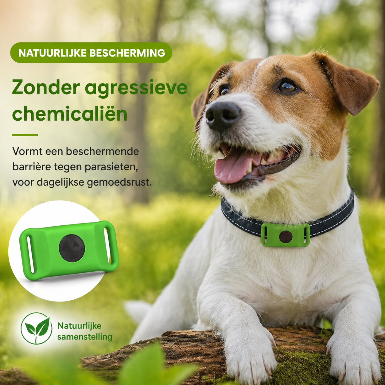 TickOff™ | 12 maanden natuurlijke bescherming tegen vlooien en teken | 1+1 GRATIS