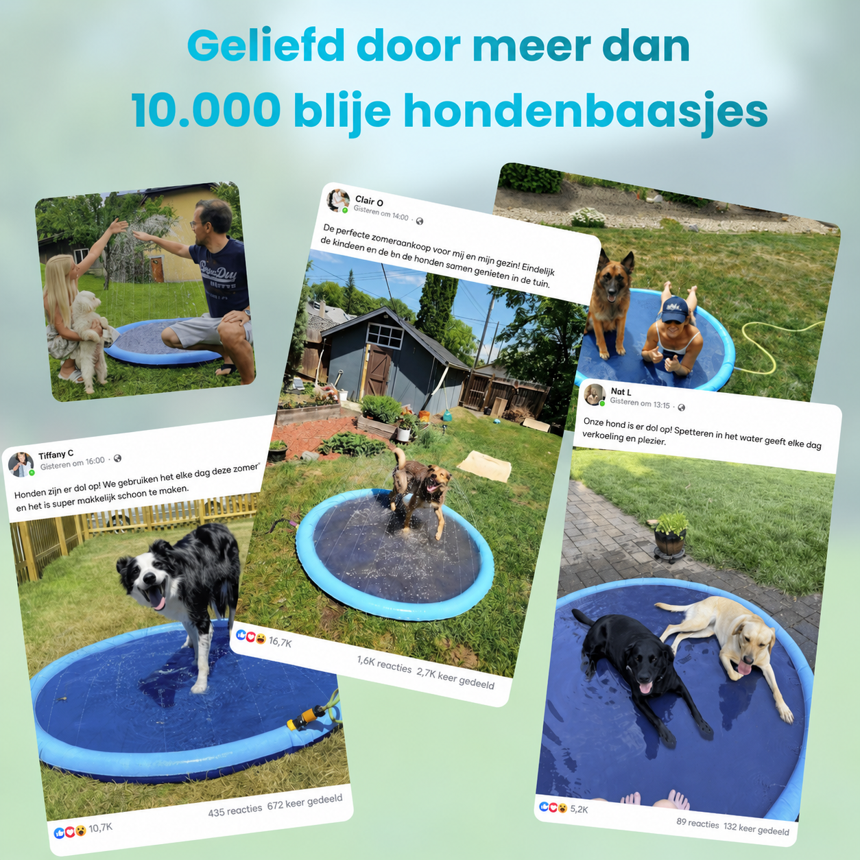 DoggySplash™| Direct Veilige Afkoeling En Plezier Voor Uw Hond