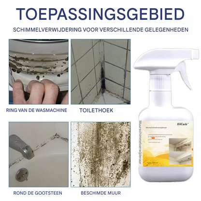 MouldStop™ | Vernietig schimmel bij de wortel en voorkom dat het ooit terugkomt | 2+1 gratis