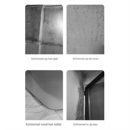 MouldStop™ | Vernietig schimmel bij de wortel en voorkom dat het ooit terugkomt | 2+1 gratis