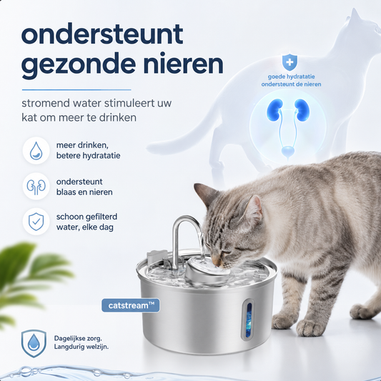 CatStream™ | De Ultieme Levensverzekering Voor De Nieren Van Uw Kat